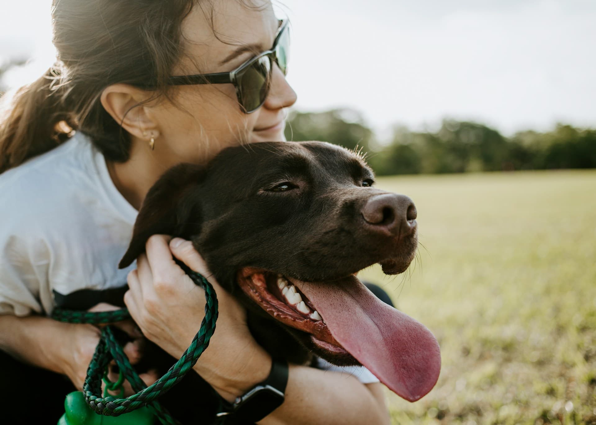 The Difference Between Coughing, Vomiting, and Gagging in Dogs