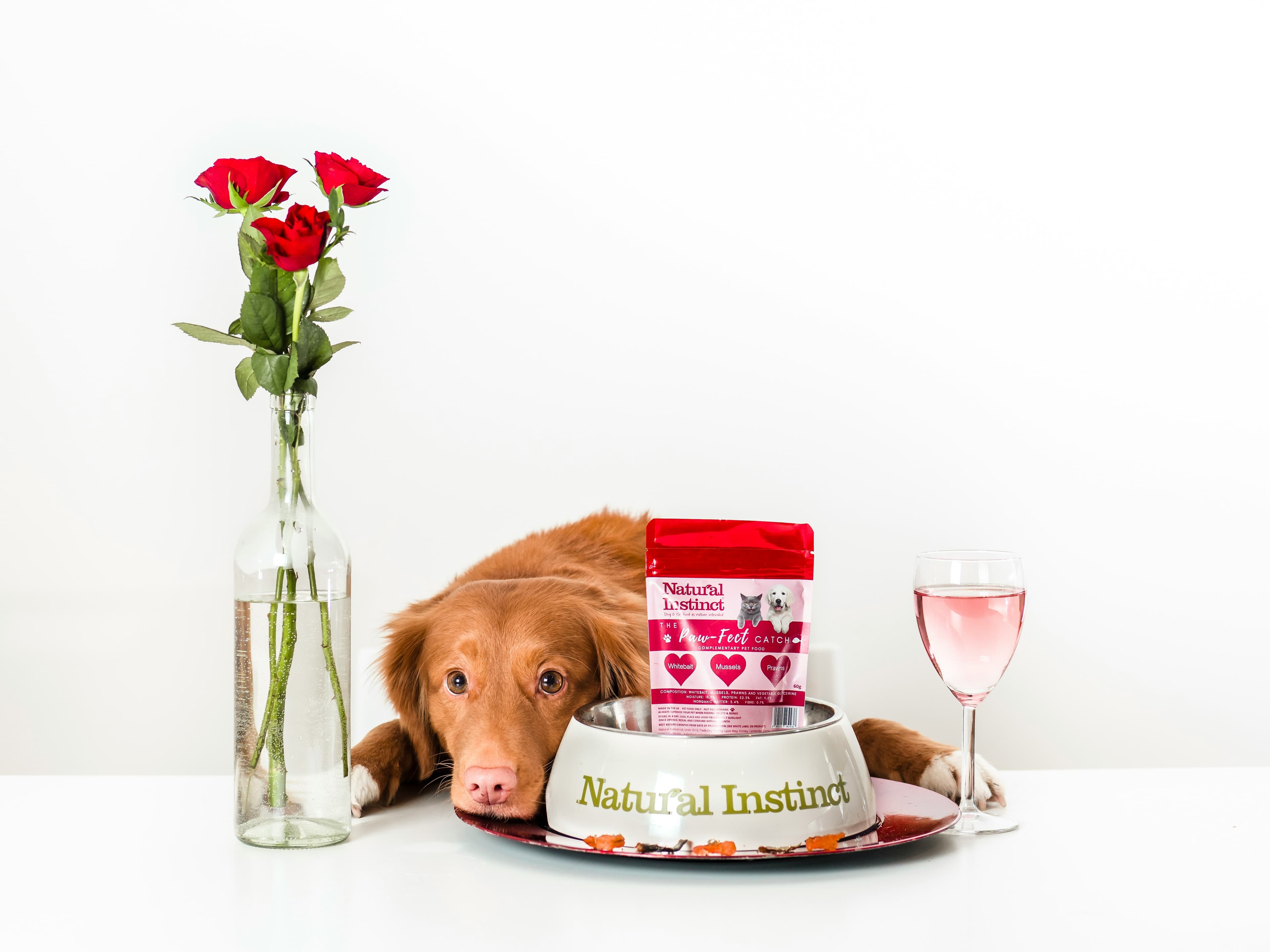 Human Foods That Dogs Can Eat: A Comprehensive Guide to Canine-Friendly Treats